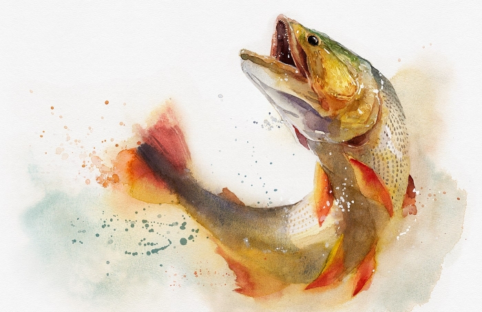 Salminus brasiliensis